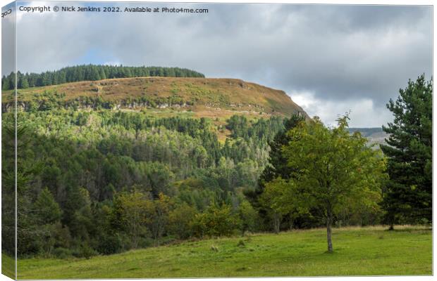 The Hillside of Pen Pych Overlooking Blaencwm Rhondda Fawr Canvas Print by Nick Jenkins