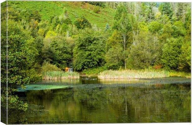 Clydach Vale Country Park Upper Pond Rhondda Fawr  Canvas Print by Nick Jenkins