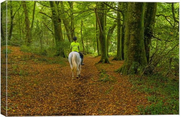 Rider on Horseback Woods Cardiff Canvas Print by Nick Jenkins