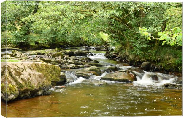 Taff Fechan River just above the waterfall  Canvas Print by Nick Jenkins