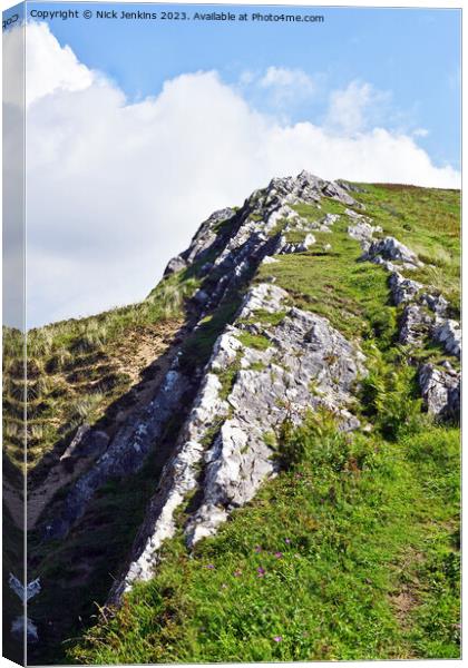 Cwm Ivy Tor in Gower above Whitesands Bay  Canvas Print by Nick Jenkins