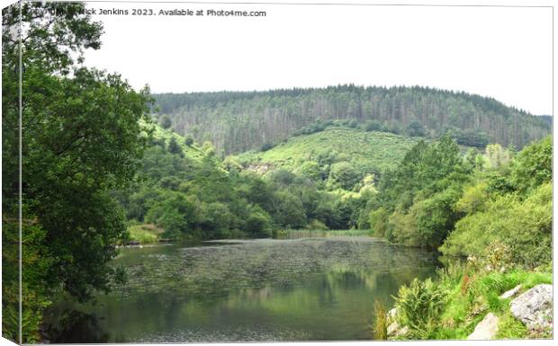 Pond at Clydach Vale Rhondda Valley South Wales Canvas Print by Nick Jenkins