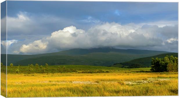 Summer Evening Over the Brecon Beacons Canvas Print by Nick Jenkins