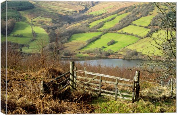 Brecon Beacons Gate in the hills Canvas Print by Nick Jenkins