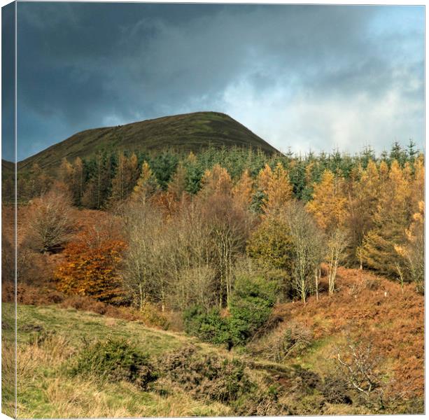 Autumn in the Central Brecon Beacons at Torpantau  Canvas Print by Nick Jenkins