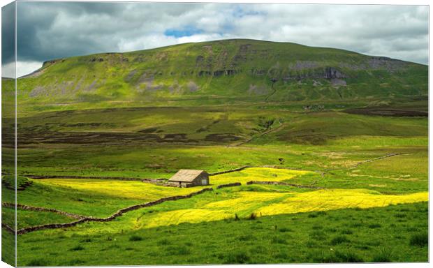 Pen y Ghent and Barn Yorkshire Dales National Park Canvas Print by Nick Jenkins