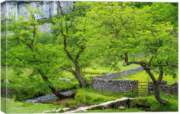 The Base of Malham Cove Yorkshire Dales in summer Canvas Print by Nick Jenkins