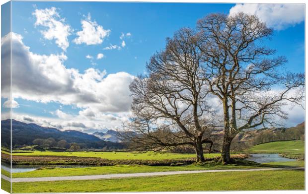 The Great Langdale Valley Canvas Print by Nick Jenkins