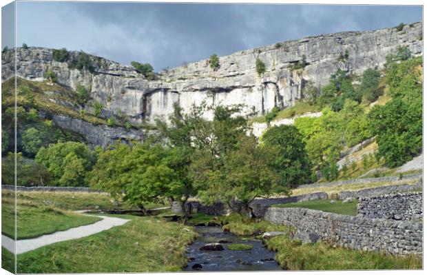 Malham Cove at Malhamdale in the Yorkshire Dales Canvas Print by Nick Jenkins