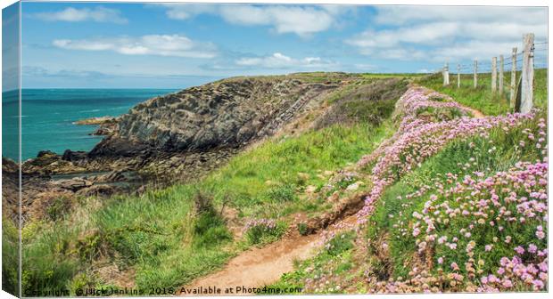 Pembrokeshire Coast Path at St Justinians in May  Canvas Print by Nick Jenkins