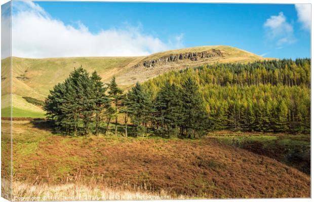 The Garw Valley south Wales Canvas Print by Nick Jenkins