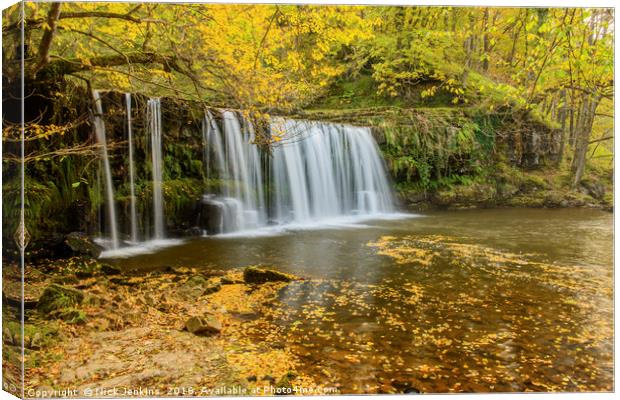 Upper Ddwli Waterfall Autumn Vale of Neath Wales Canvas Print by Nick Jenkins