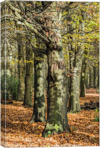 The Autumn Beech Trees at Wentwood Forest Monmouth Canvas Print by Nick Jenkins