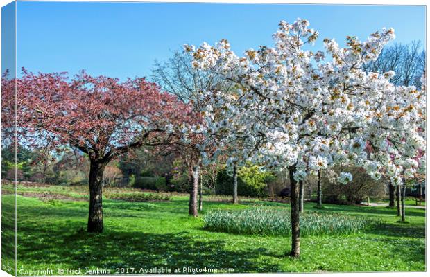 Spring in Roath Park Cardiff Canvas Print by Nick Jenkins