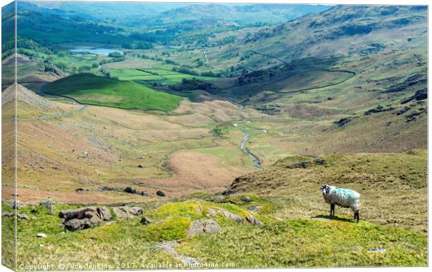 Looking towards Little Langdale from Wrynose Pass  Canvas Print by Nick Jenkins