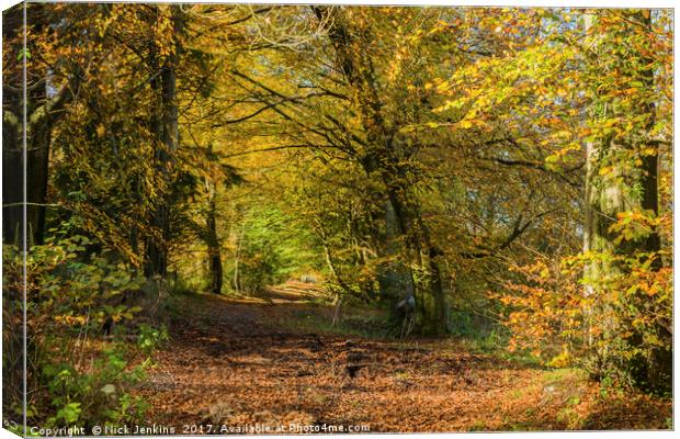 Wentwood Forest on sunny autumn day Monmouthshire Canvas Print by Nick Jenkins