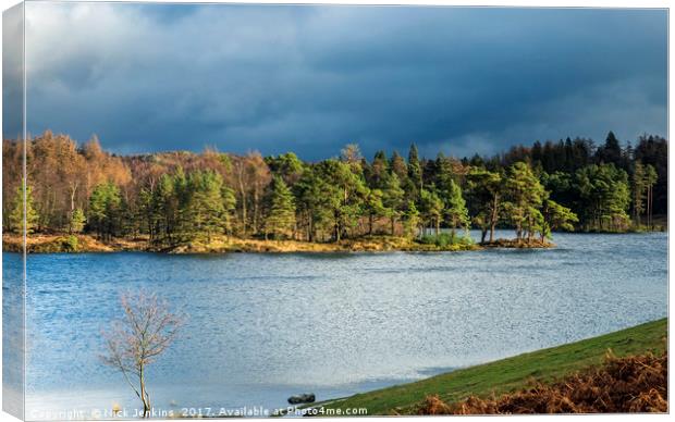 Tarn Hows Winter Day Lake District National Park Canvas Print by Nick Jenkins