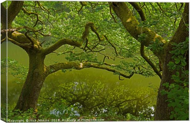 Oak Tree in South Wales in late Spring Canvas Print by Nick Jenkins