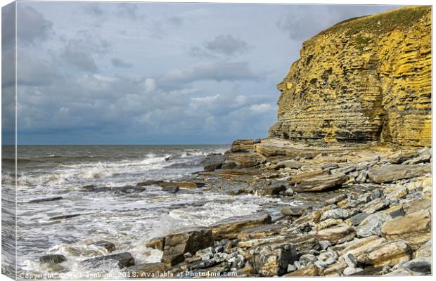 Cliffs at Dunraven Bay Southerndown Canvas Print by Nick Jenkins