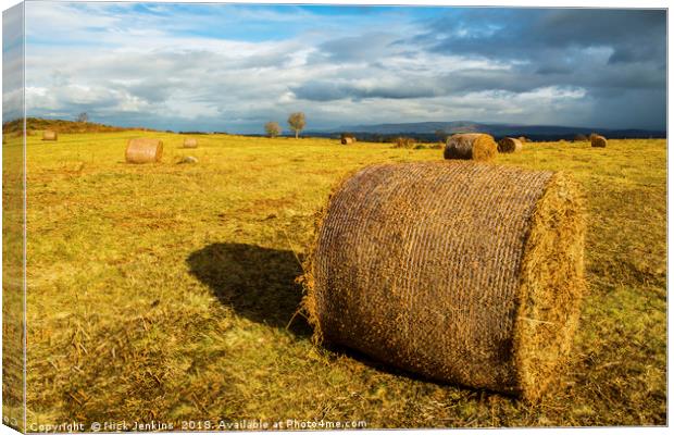 Bracken Bales in the Brecon Beacons Canvas Print by Nick Jenkins