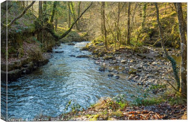 The River Neath and surrounding woods South Wales  Canvas Print by Nick Jenkins