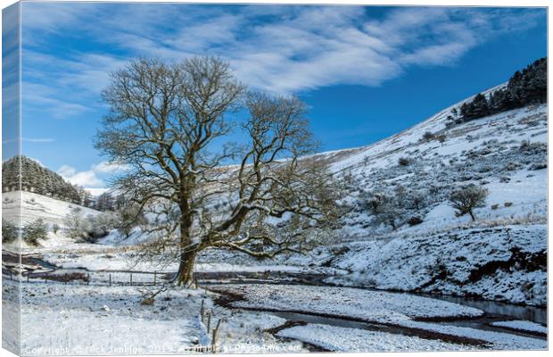 The Oak Tree at Cwm Crew Brecon Beacons Canvas Print by Nick Jenkins