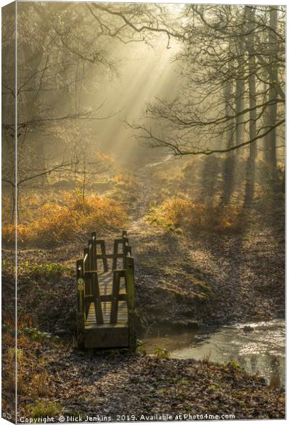 Light and Shadow Forest of Dean Gloucestershire Canvas Print by Nick Jenkins