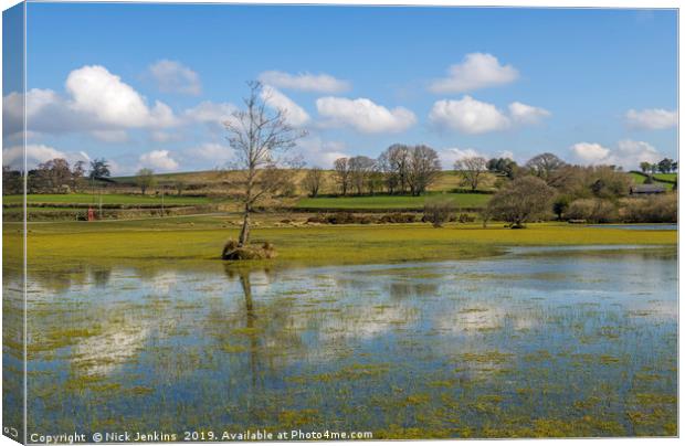 Brechfa Pool near Brecon in Powys in Spring.  Canvas Print by Nick Jenkins