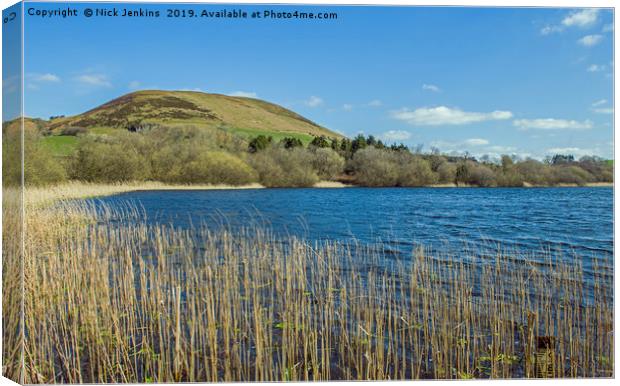 Llanbwchllyn Lake Radnorshire Powys Canvas Print by Nick Jenkins