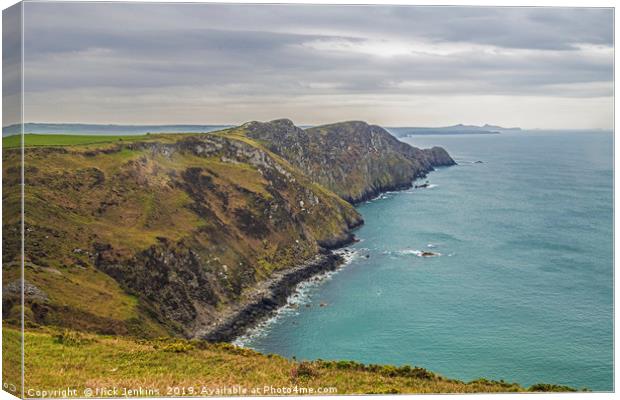Pwll Deri and Cliffs North Pembrokeshire Canvas Print by Nick Jenkins