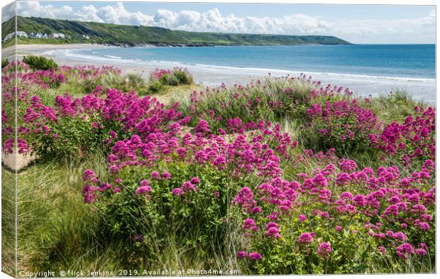 Port Eynon Beach Gower Red Valerian Flowers Canvas Print by Nick Jenkins