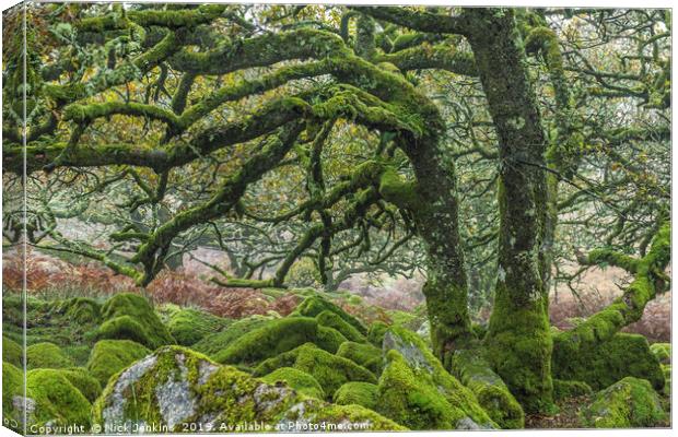 Wistmans Wood Oaks Dartmoor National Park Devon Canvas Print by Nick Jenkins