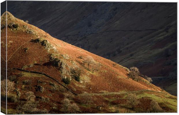Troutbeck Valley Sun and Shade Lake District Canvas Print by Nick Jenkins