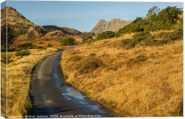 Road leading to the Langdale Pikes Lake District Canvas Print by Nick Jenkins