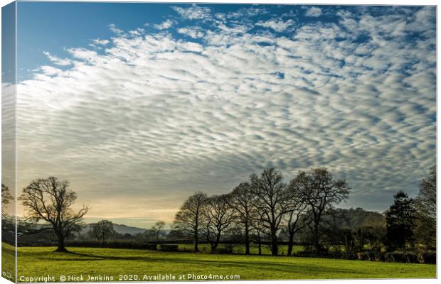 Clouds and Trees Llandeilo Carmarthenshire Canvas Print by Nick Jenkins