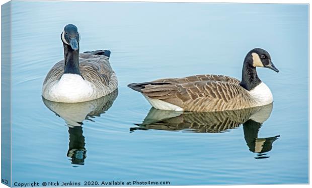 Two Canada Geese on Cosmeston Lake Canvas Print by Nick Jenkins