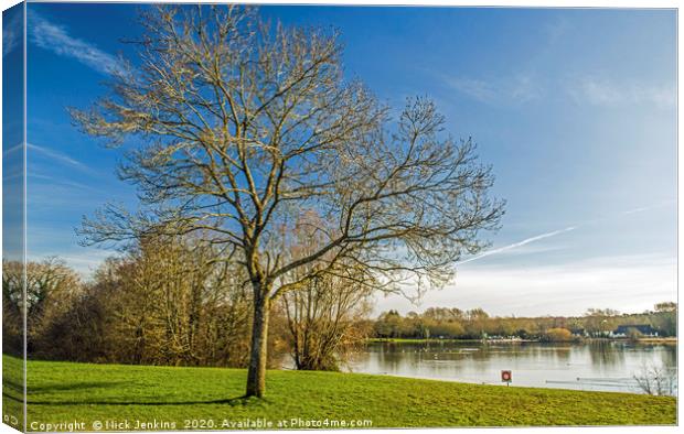 Cosmeston Lakes Country Park Penarth south Wales Canvas Print by Nick Jenkins