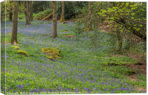 Bluebell woods in the Lake District   Canvas Print by Nick Jenkins