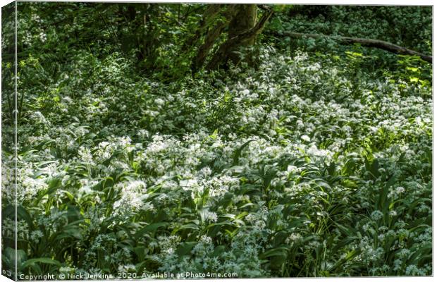 Ramsons or Wild Garlic in Woodland Canvas Print by Nick Jenkins