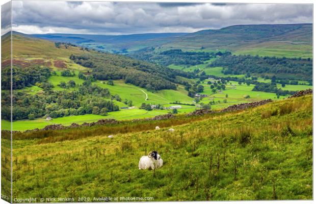 Looking towards Upper Wharfedale from Buckden Pike Canvas Print by Nick Jenkins