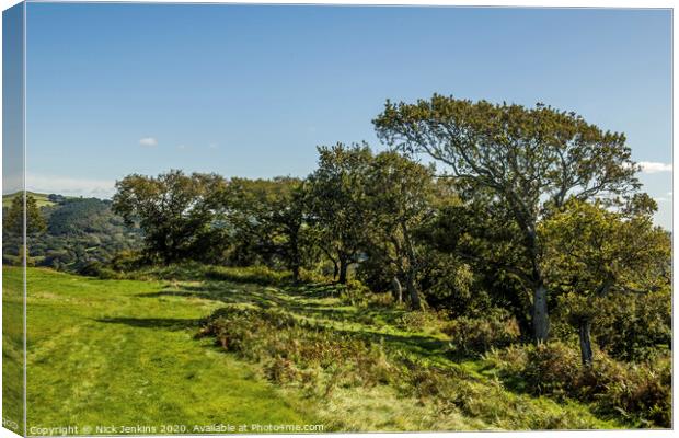Row of Oak Trees at Caerau Hillfort South Wales  Canvas Print by Nick Jenkins