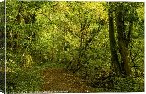 Into The Woods on an October afternoon South Wales Canvas Print by Nick Jenkins
