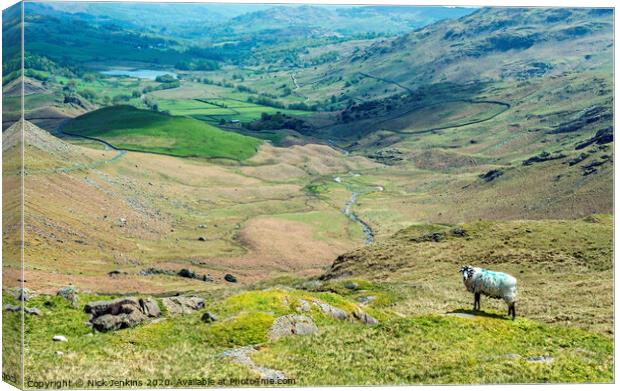 Little Langdale Tarn from Wrynose Pass Lakeland   Canvas Print by Nick Jenkins