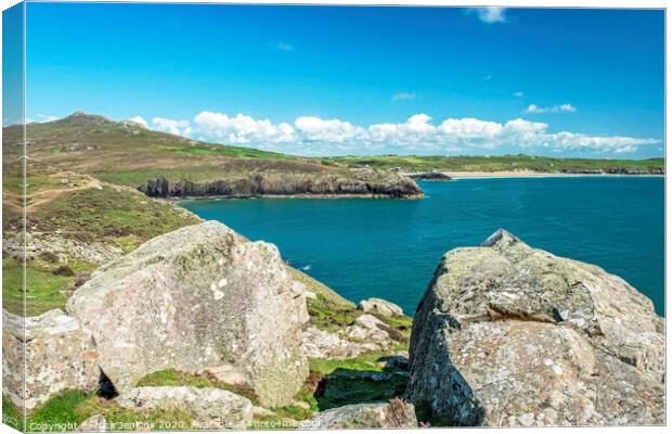 Whitesands Bay from St David's Head Pembrokeshire Canvas Print by Nick Jenkins