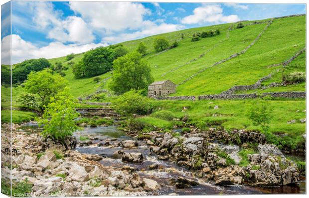 Langstrothdale in the Yorkshire Dales  Canvas Print by Nick Jenkins