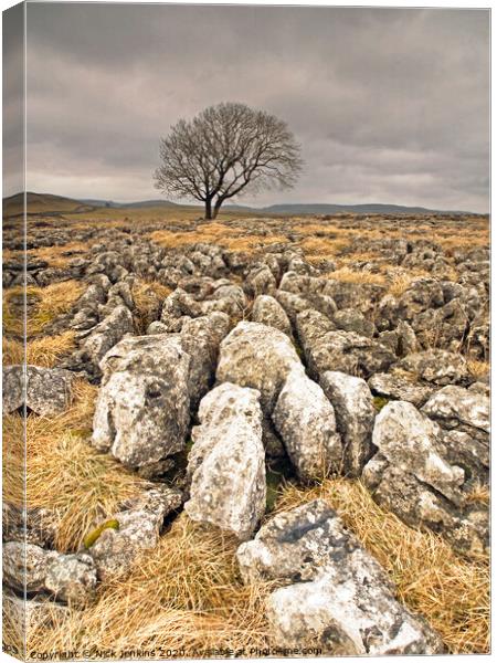A Solitary Tree on Malham Moor Yorkshire Dales Canvas Print by Nick Jenkins