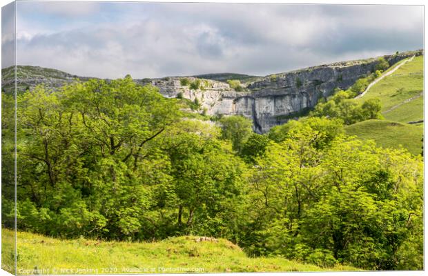 Malham Cove Yorkshire Dales Canvas Print by Nick Jenkins