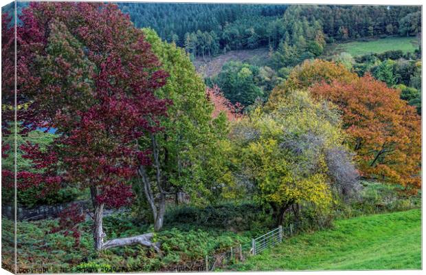 Autumn in the Talybont Valley Brecon Beacons Wales Canvas Print by Nick Jenkins