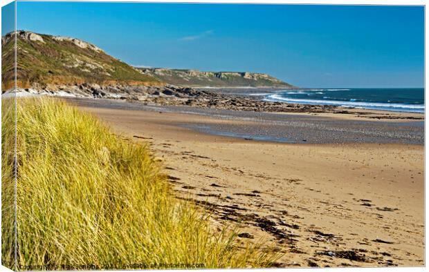 Horton Beach near Port Eynon on Gower  Canvas Print by Nick Jenkins