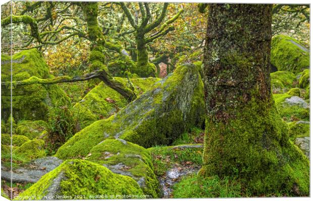 Stunted Oaks Wistmans Wood Dartmoor Devon in Autum Canvas Print by Nick Jenkins